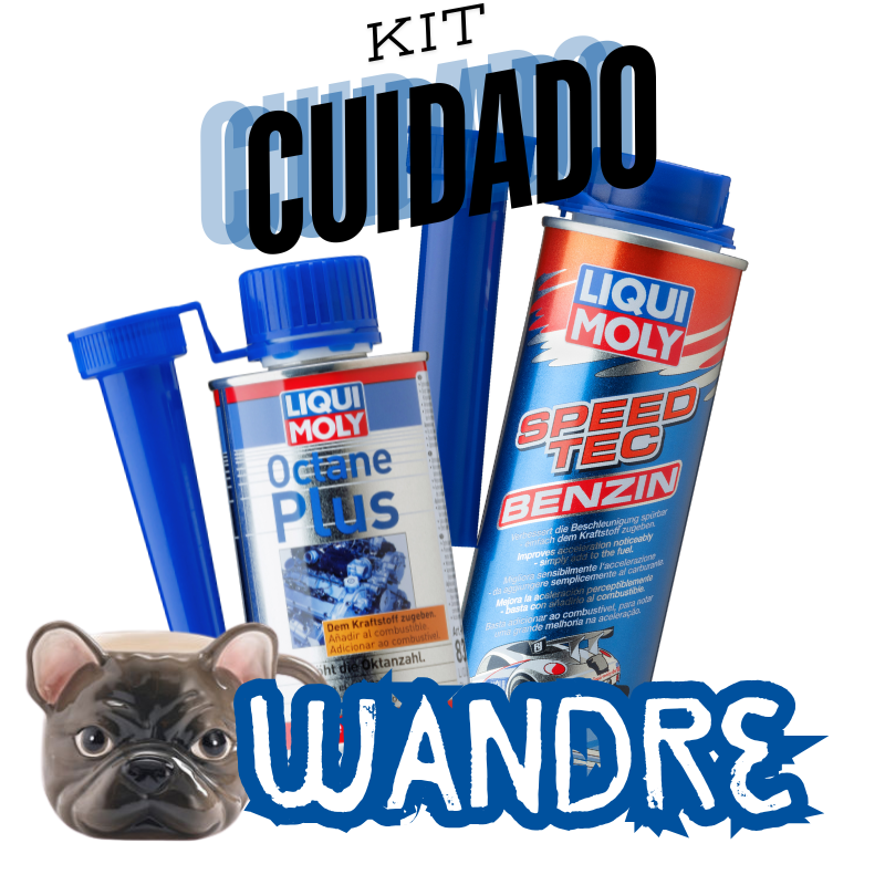 Kit Wandre LIQUI MOLY Proteção Gasolina